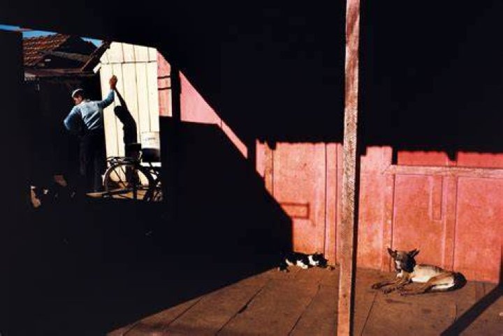 Alex-Webb