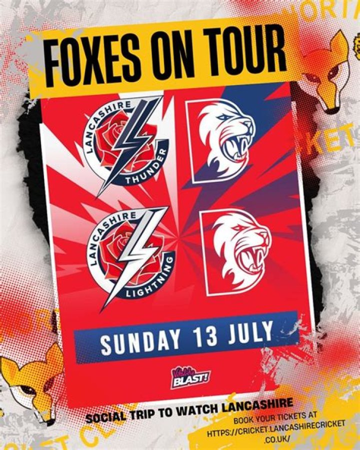 Foxes going back on tour