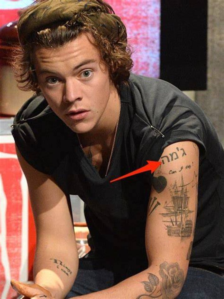 Harry Styles’ Complex 10 Tattoos & Their Meanings