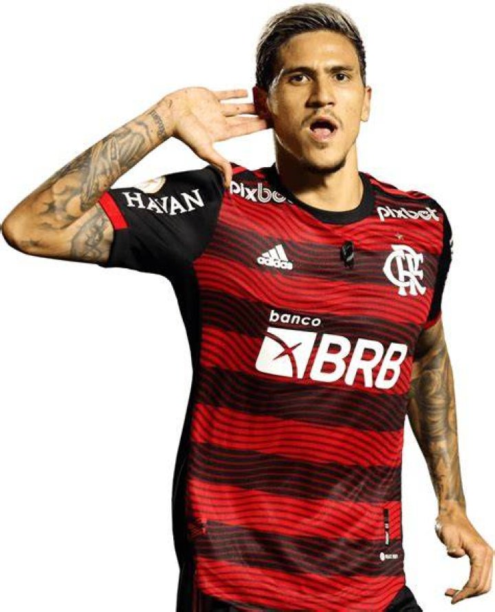 Pedro Guilherme