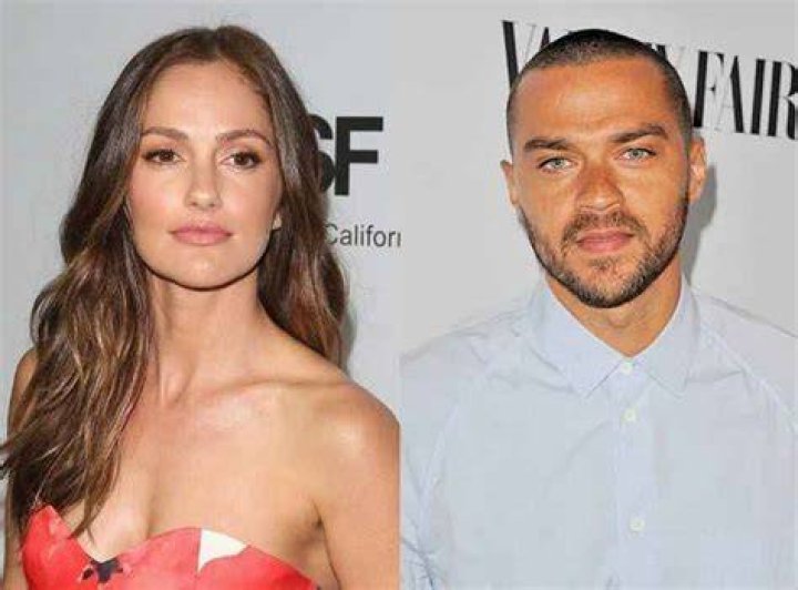 Read: Know About Minka Kelly; Age, Boyfriend, Instagram, Net Worth. Height