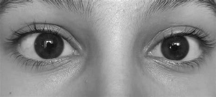 Regard
